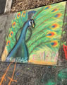 Honorable Mention-Peacock with Legs by Karintha & Ember